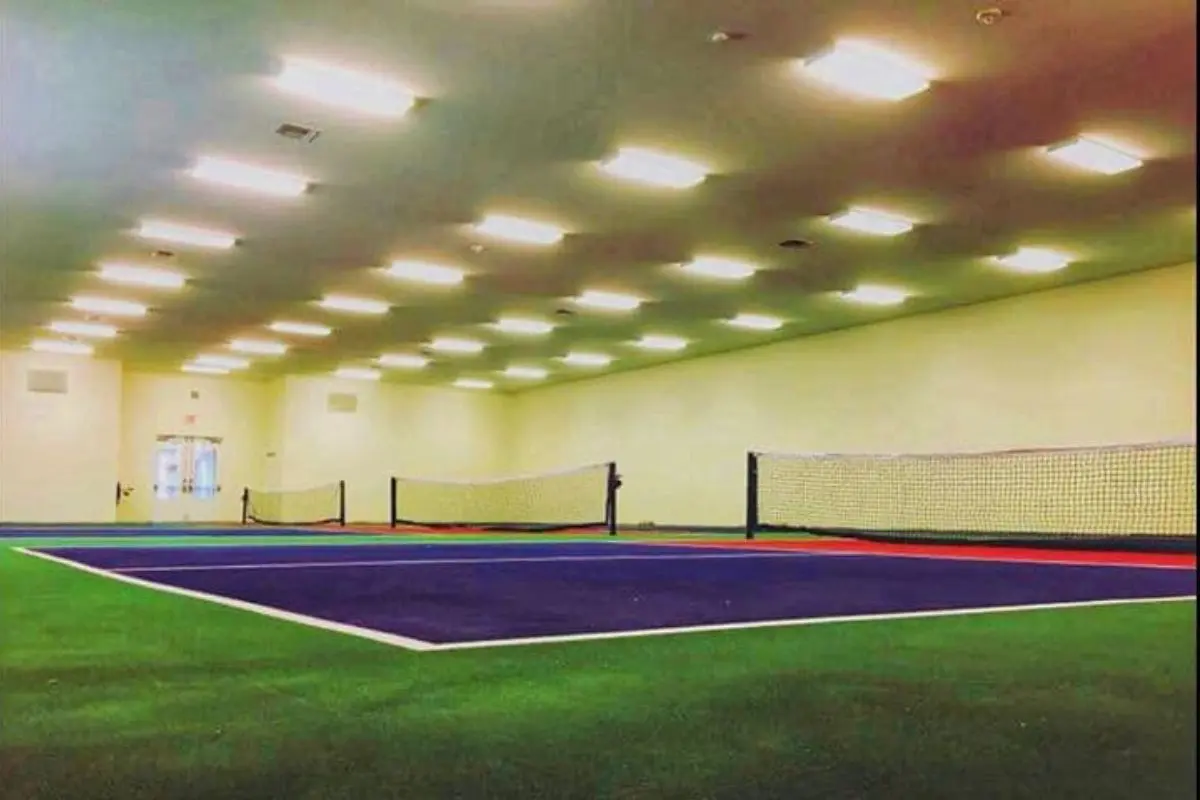 Recent arrival of pickleball courts in Florida