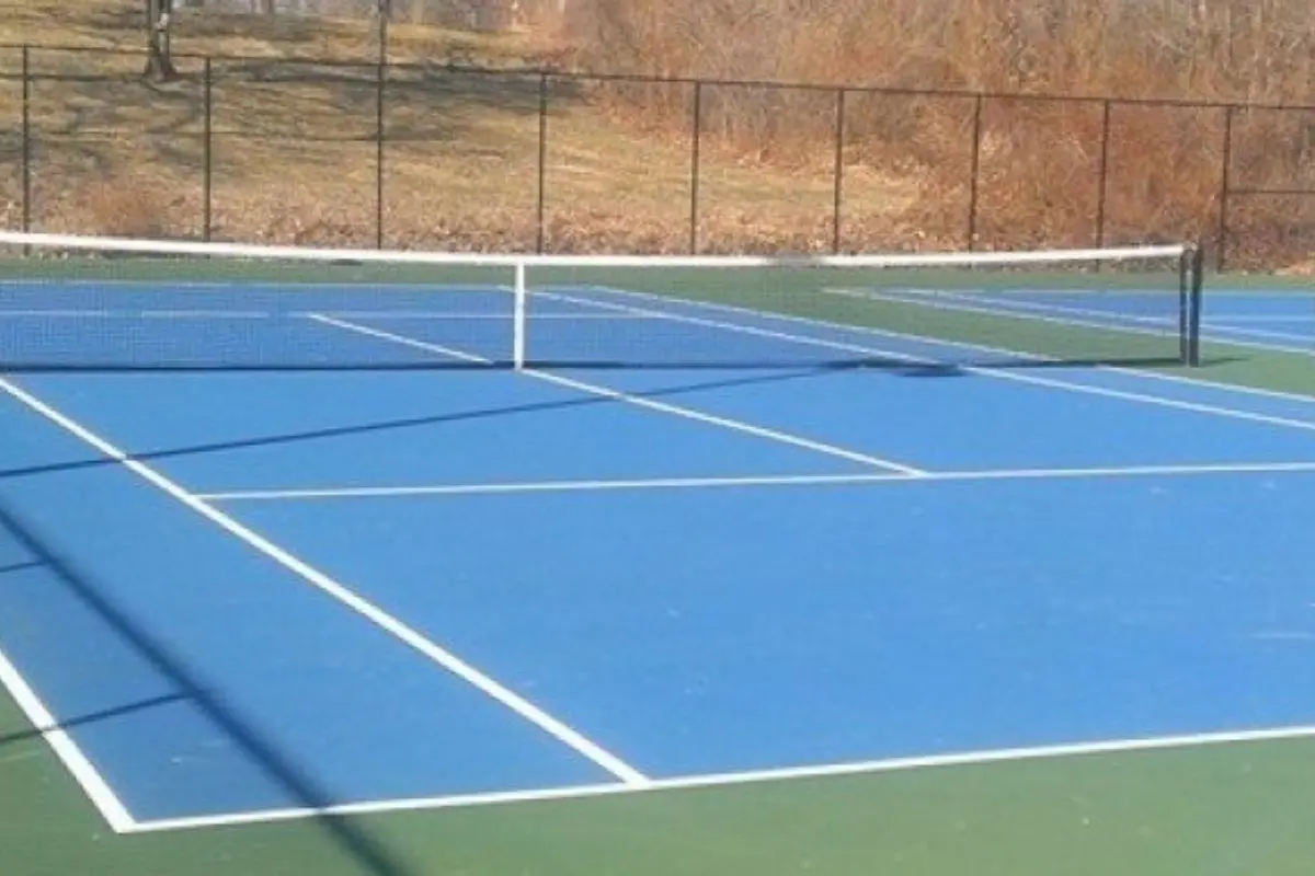 Recent Arrival of Pickleball Courts in Illinois