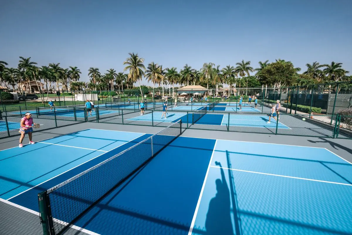 Recent Arrival of Pickleball Courts in Illinois