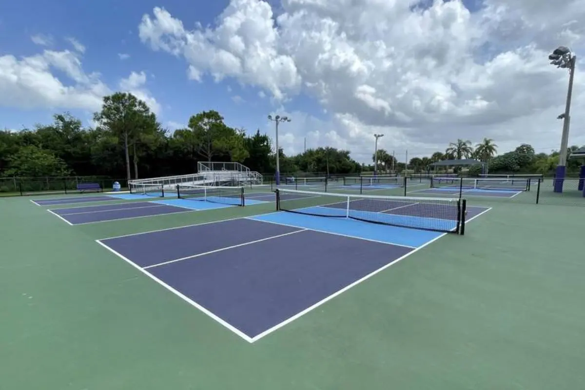 Recent Arrival of Pickleball Courts in New York