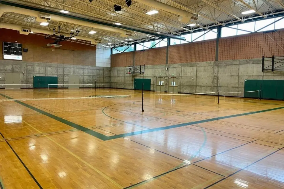 Recent Arrival of Pickleball Courts in Washington