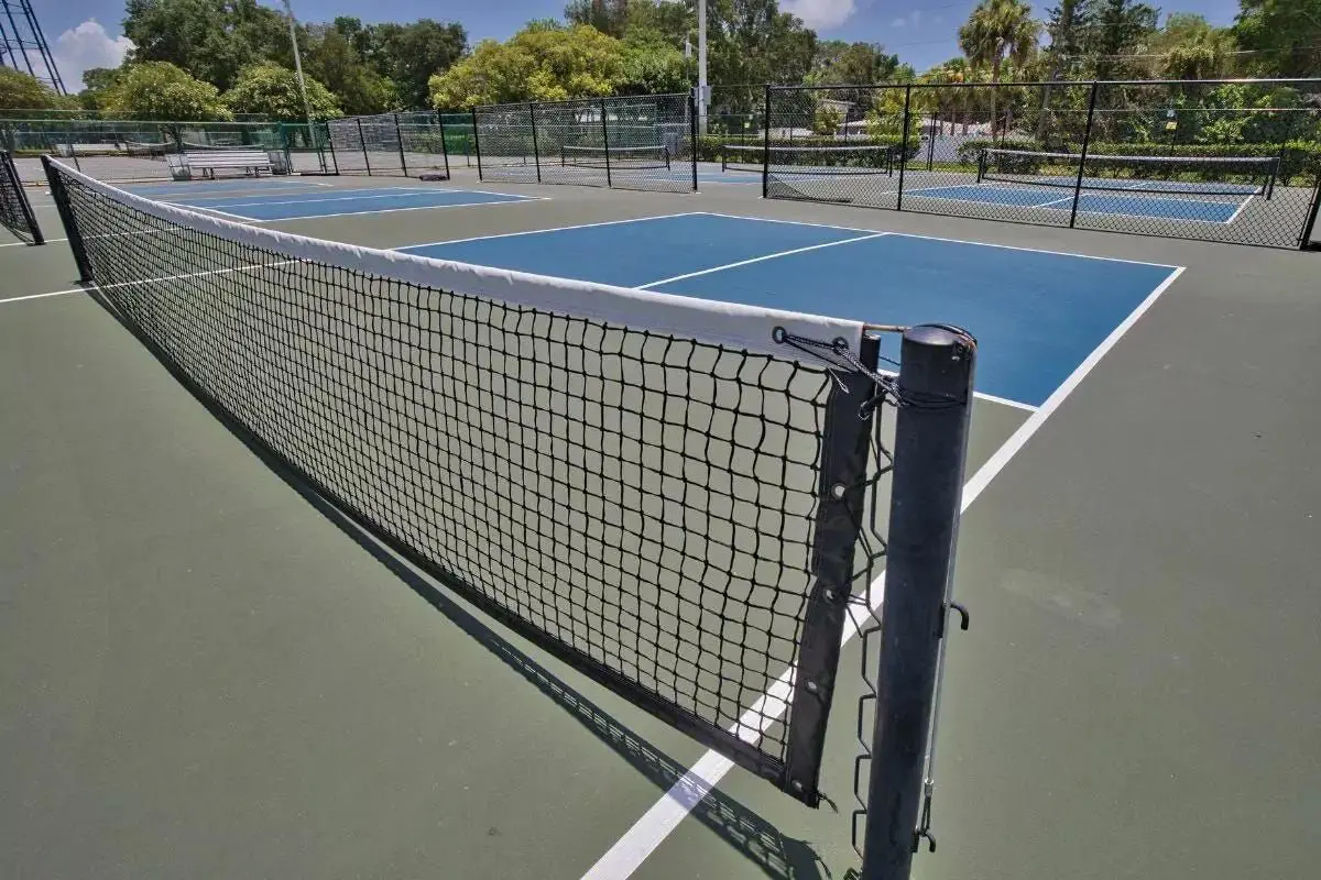 Recent Arrival of Pickleball Courts in Idaho