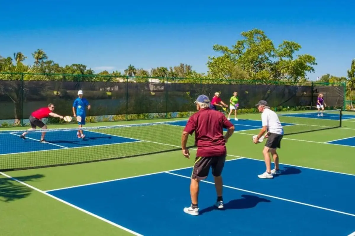 Arrival of New Pickleball Courts