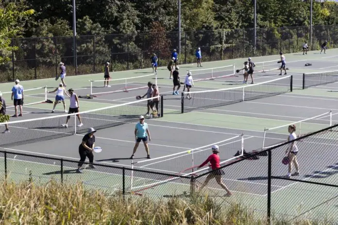 Dunning's Shabbona Park Adds New Pickleball Courts 1