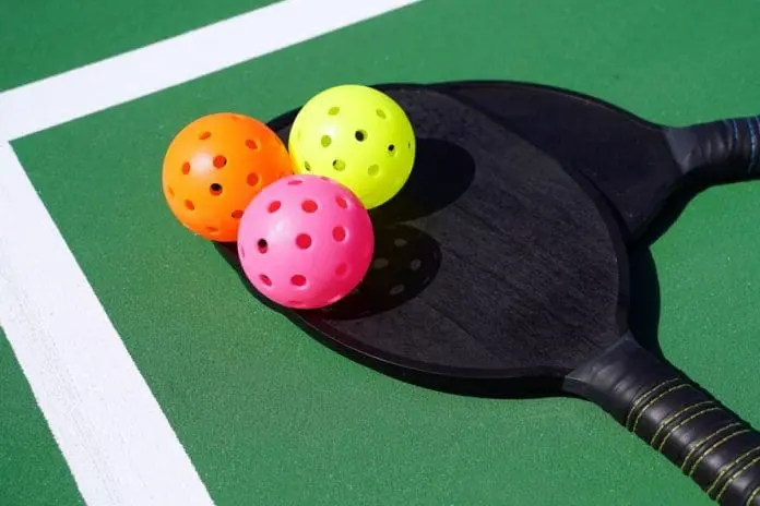 New Pickleball Courts Across Michigan