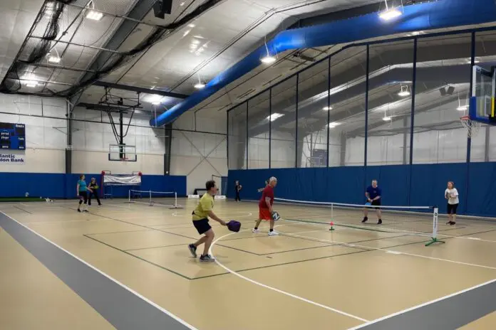 Pickleball Clinic in Culpeper For Beginners