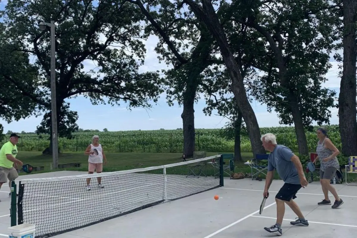 Pickleball Players Demanding More Courts 1 