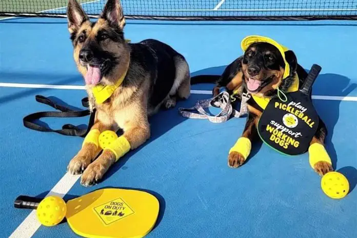 The Dog Pickleball Tournament