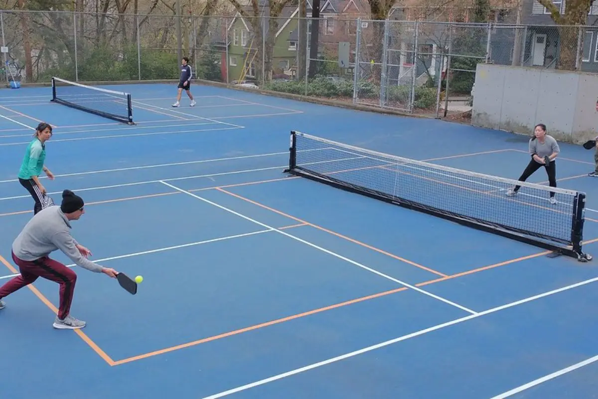 The Wingspan Debate in Pickleball (1)