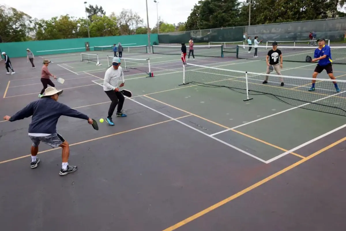 Top Free Pickleball Courts In Houston