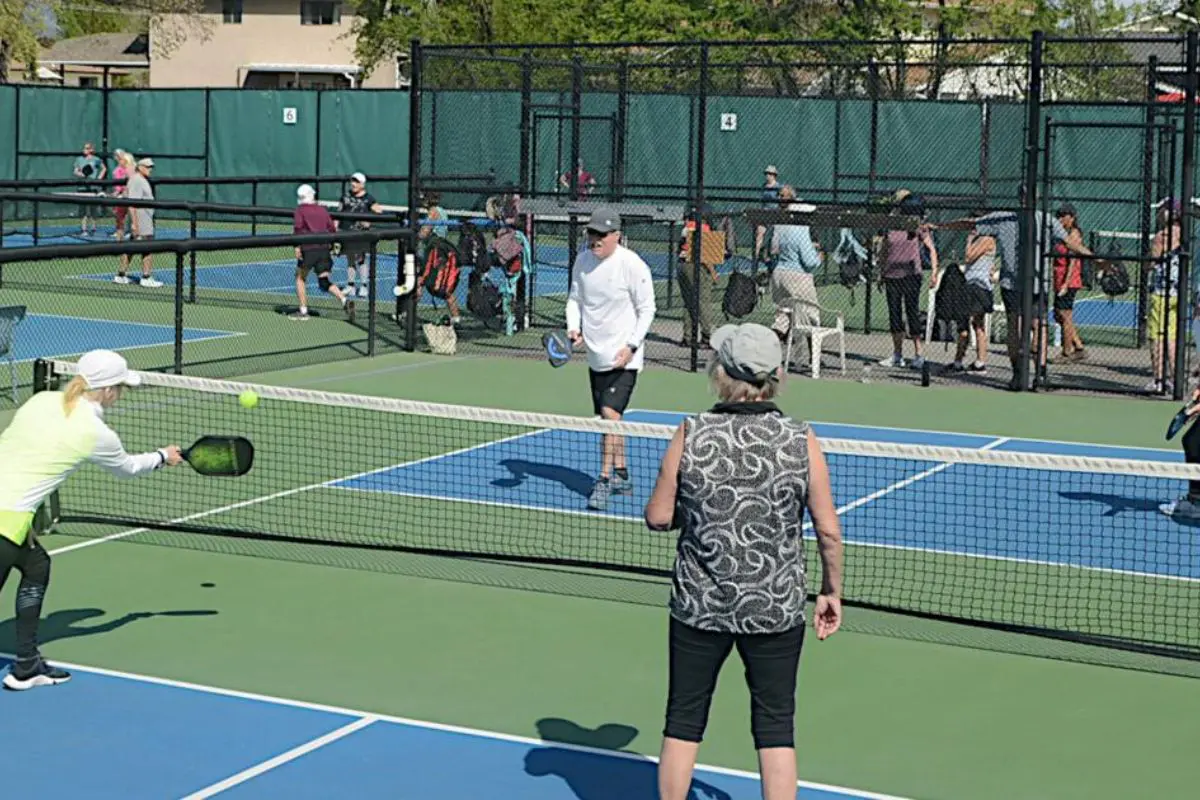 Best Pickleball Training Venues in Edmonton (1)