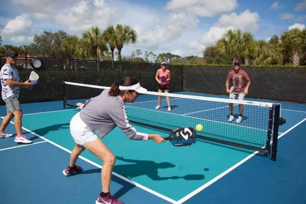 Pickleball Expansion in LaSalle Sparks 