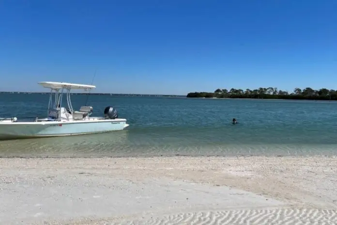 Honeymoon Island and 9 Parks Eye Pickleball