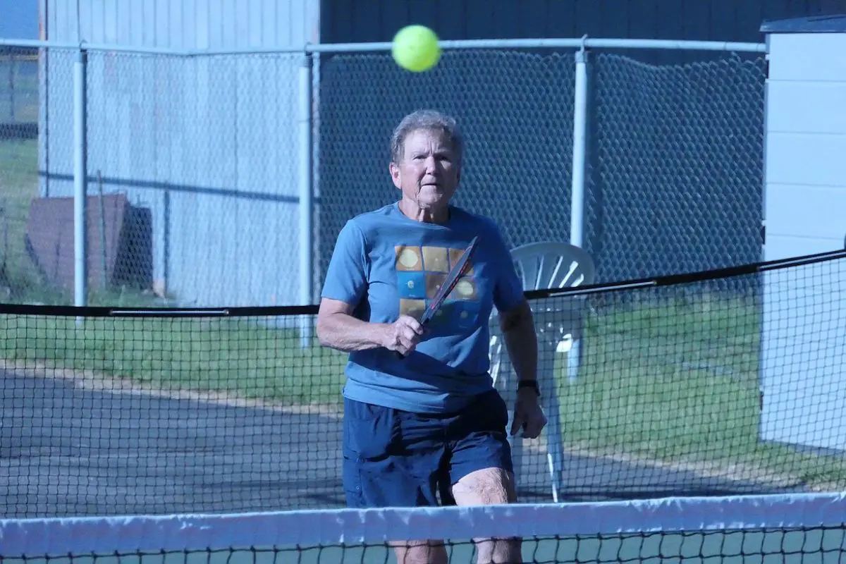 Lisle Pickleball Court Controversy