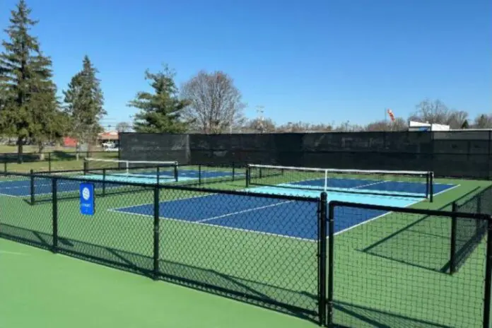 Michigan's Pickleball Growth