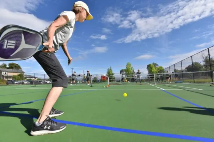 Pickleball Enthusiasts Launch ParkView