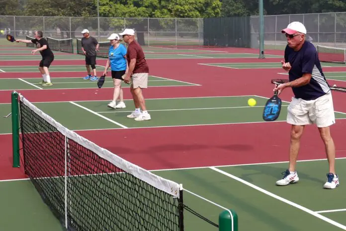 Pickleball for Beginners at Snyder Park