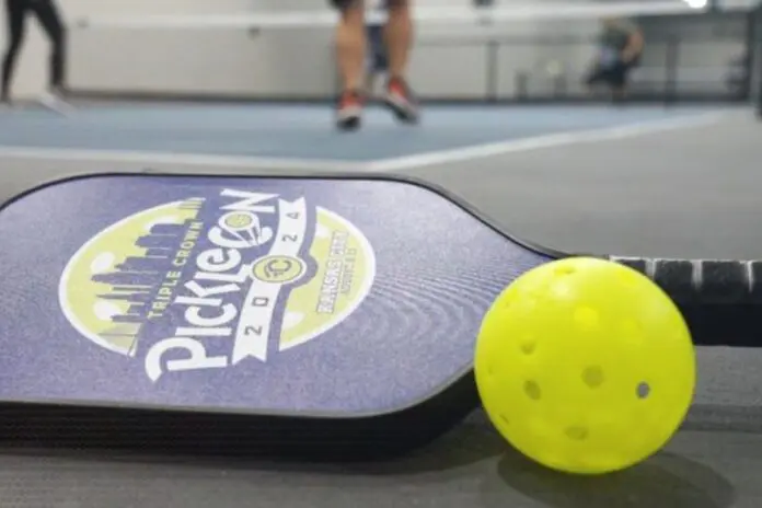 SLN/CR's Indoor Pickleball Noise Solution 1