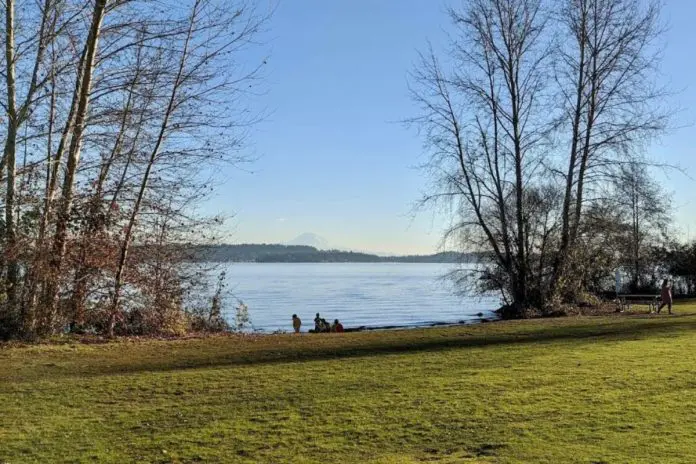 New Pickleball Courts at Magnuson Park