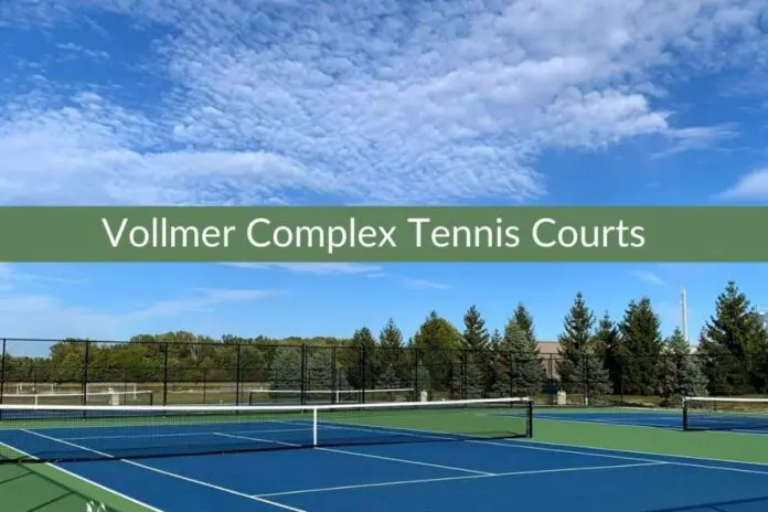 Tennis Courts to Pickleball in LaSalle