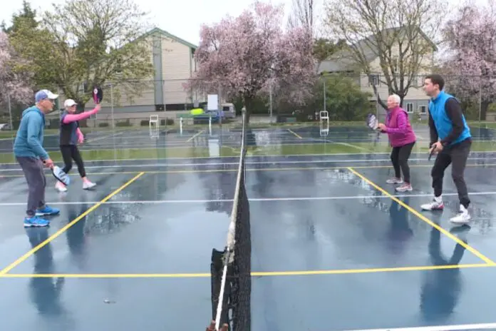 Top Free Pickleball Courts In Rochester