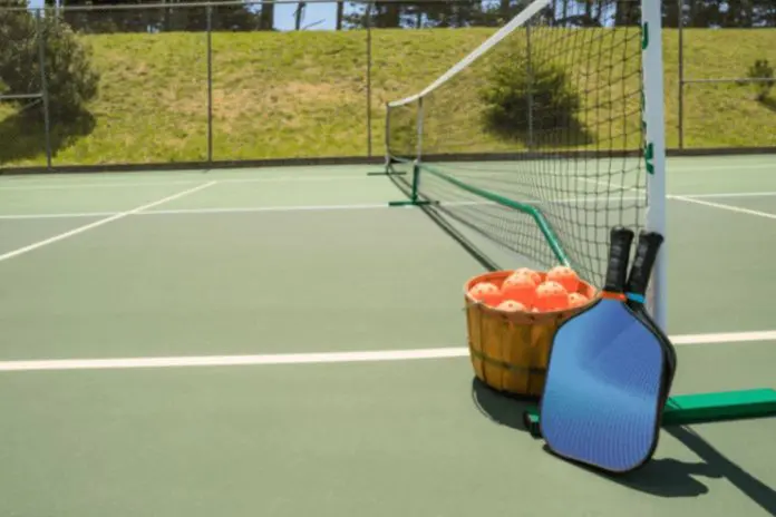 Pickleball Expansion Hits Temple Terrace Home