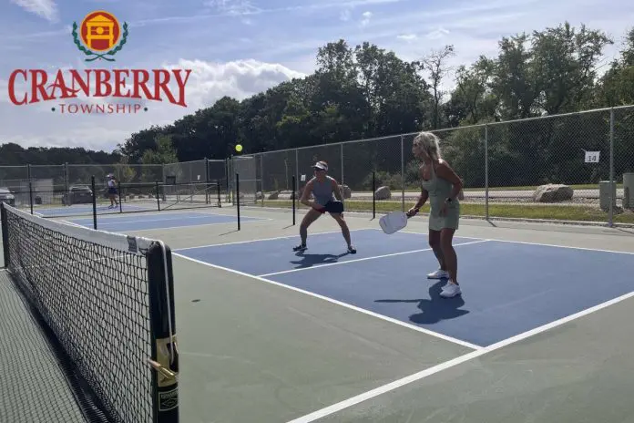 Pickleball Paradise or Public Problem