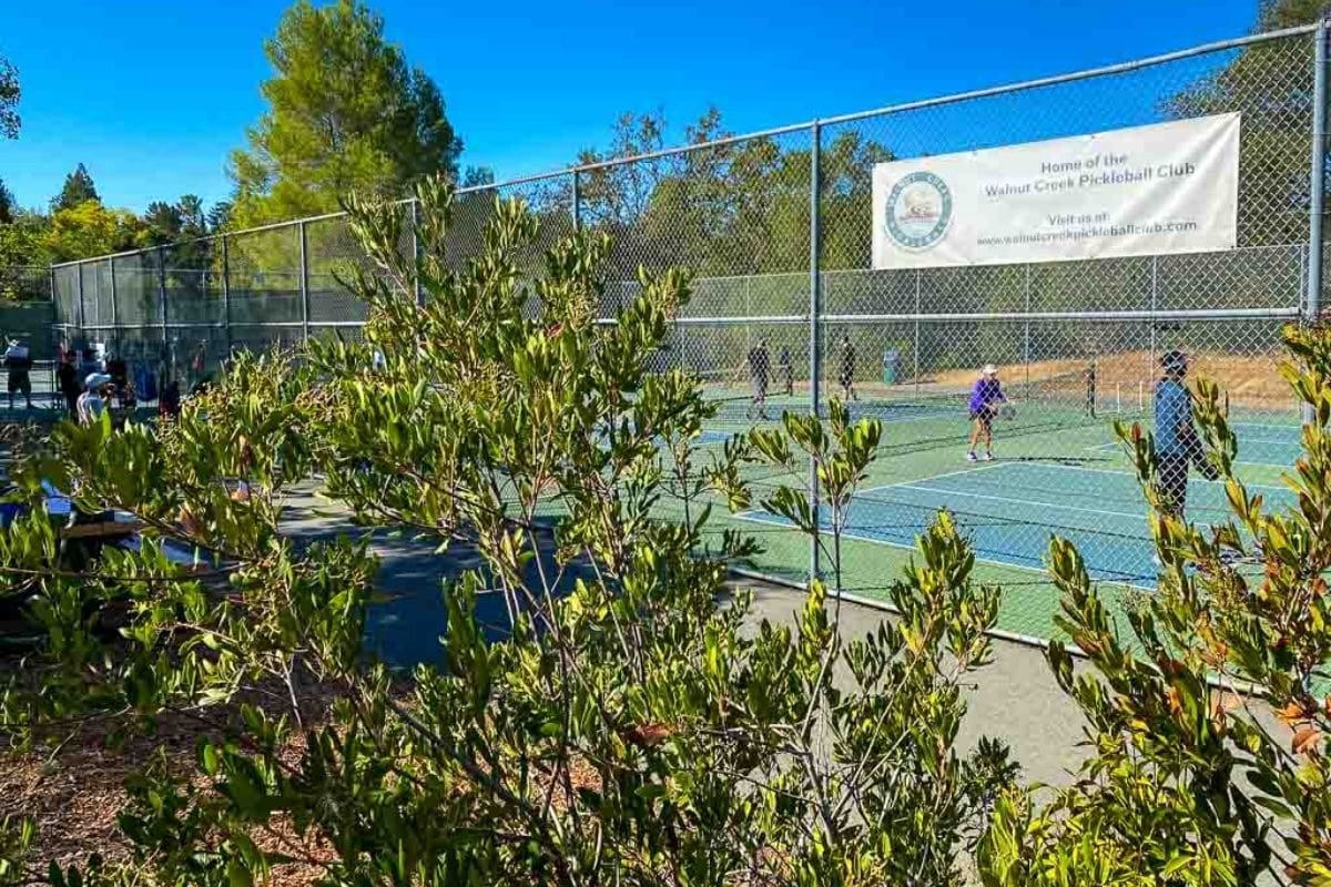 Recent Arrival of Pickleball Courts in Washington