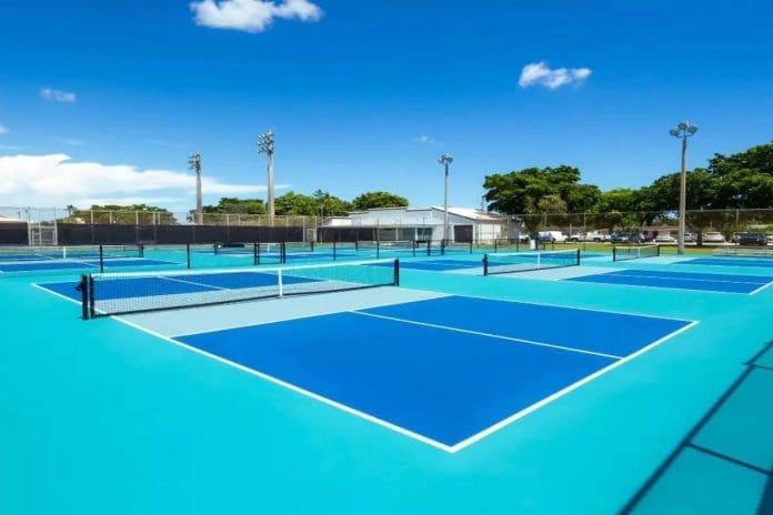 Delhi Welcomes 2 New Pickleball Courts