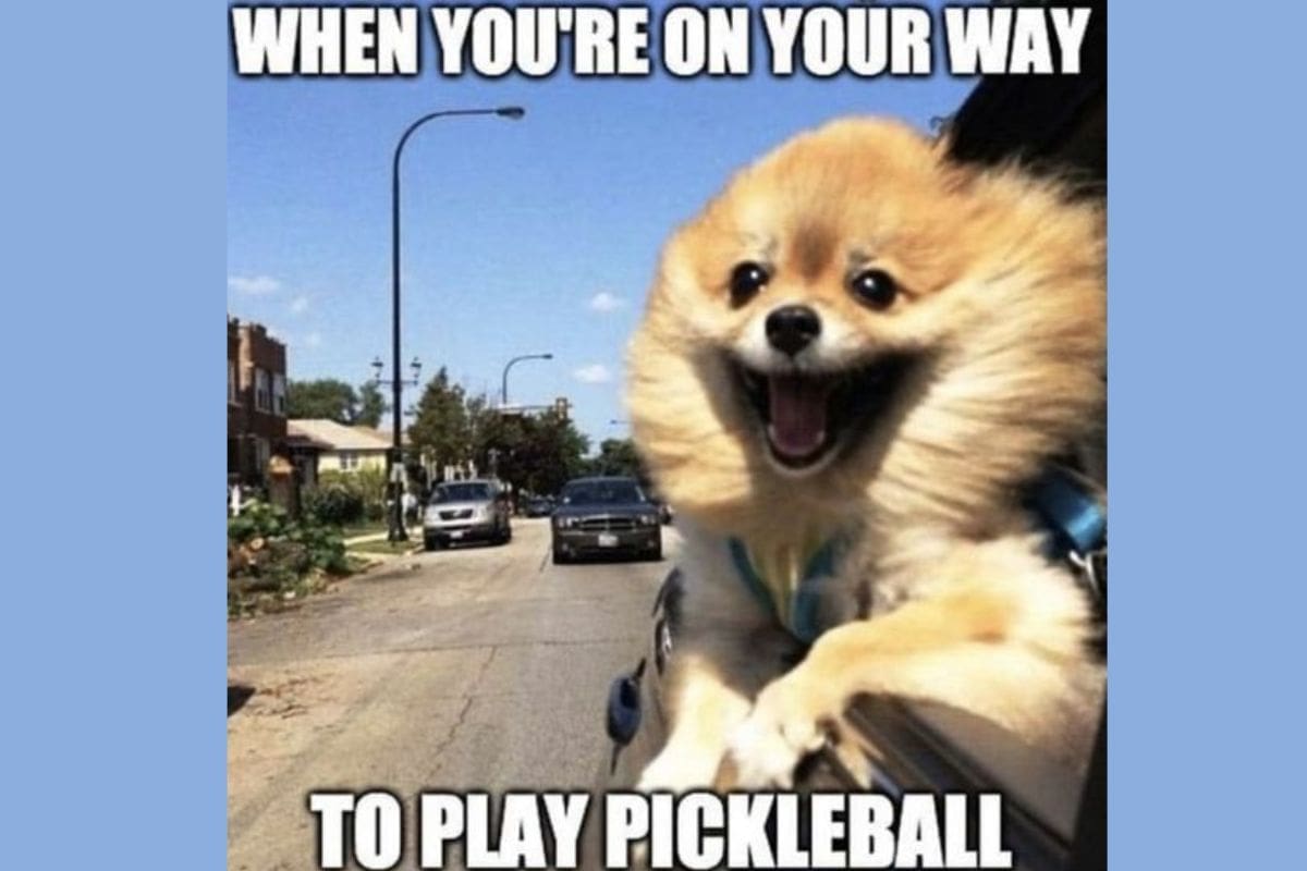 Funniest Pickleball Memes