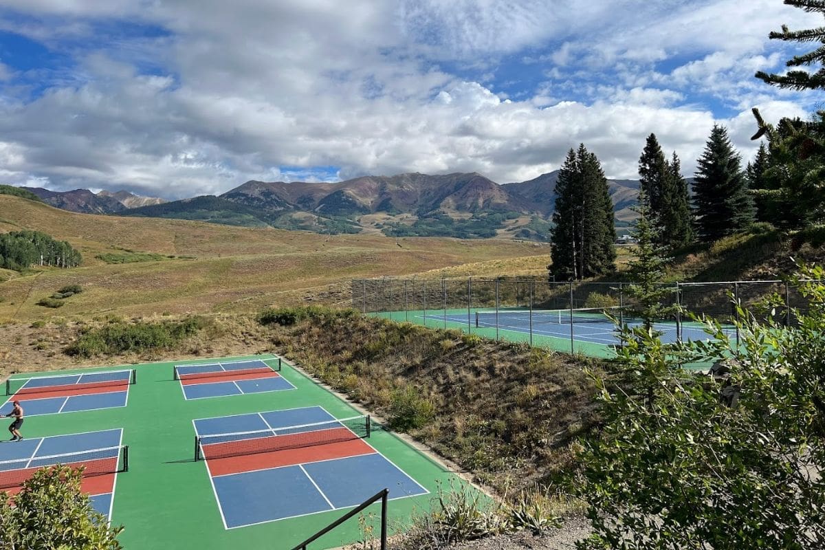 Most Beautiful Pickleball Court Ever 1