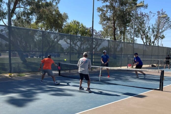 DTO Grants 2 Mn Dollars for Pickleball Complex