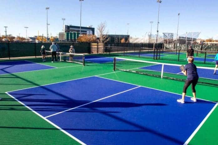 New Pickleball Courts in Lower Ross Park