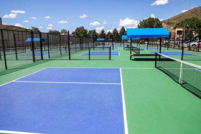 Pickleball Court Controversy at Avon Park