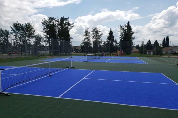 Best Pickleball Courts in Gibbons 