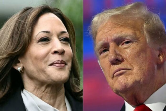 Donald Trump and Kamala Harris Turn to Pickleball