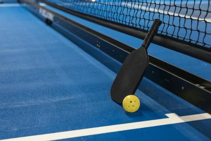Pickleball Awaits at Champions of the Court in Kingsport Pickleball Awaits at Champions of the Court in Kingsport