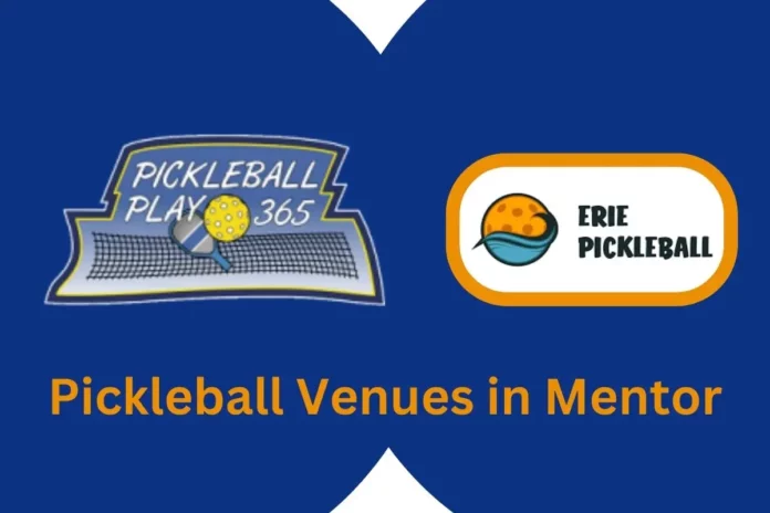 Best Pickleball Courts in Mentor