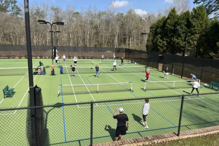 Pickleball Arrives in Paradise Community Park