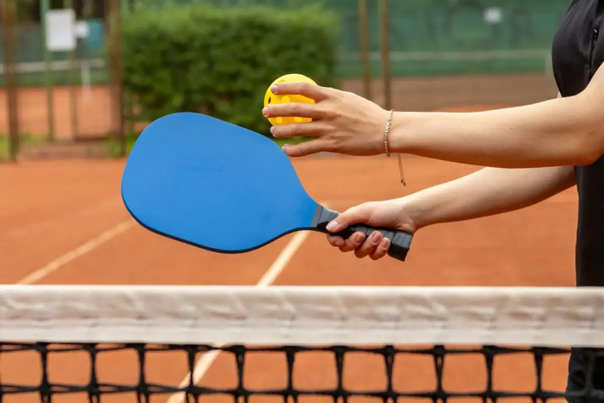Pickleball Mania Hits Jackson Park 