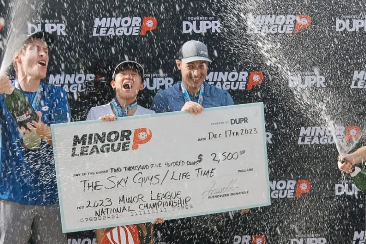 The Dink MiLP Nationals Arrive in December