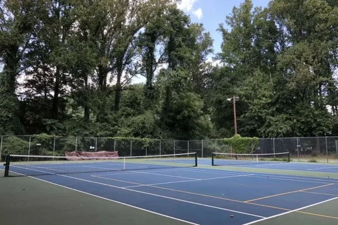 Vienna's Best Pickleball Courts Vienna's Best Pickleball Courts