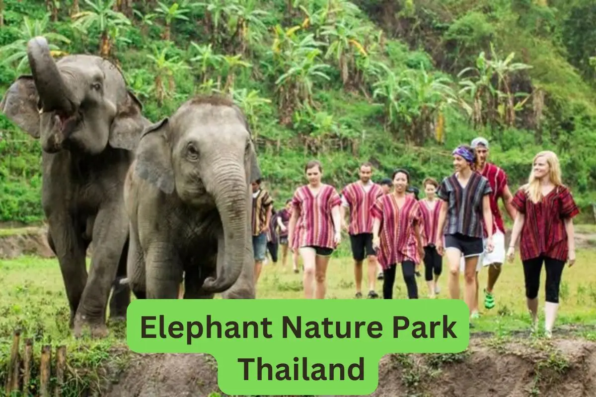 pickleball fundraiser