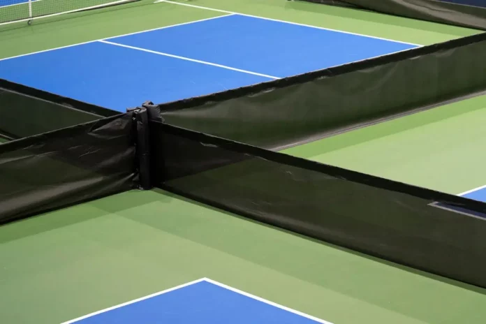 Dewitt Pickleball Club