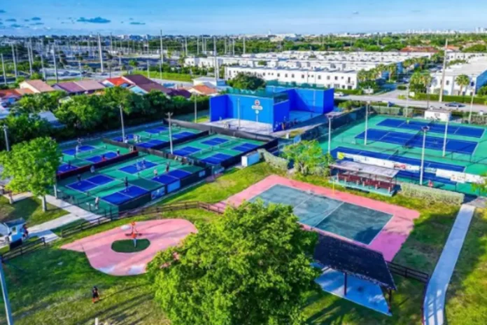 Pickle Wars: Winter Classic