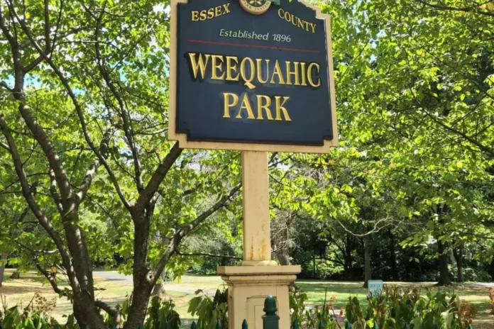 Pickleball Courts in Weequahic Park