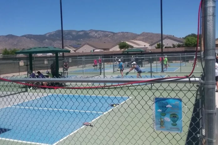 Adult Abuse Prevention Pickleball Tournament
