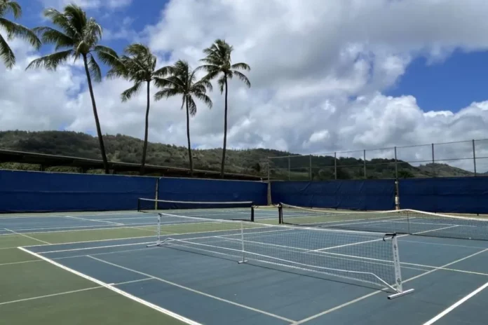 Hawaii's First Pickleball Tournament