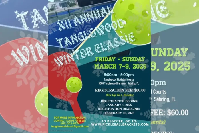 Tanglewood Classic XII