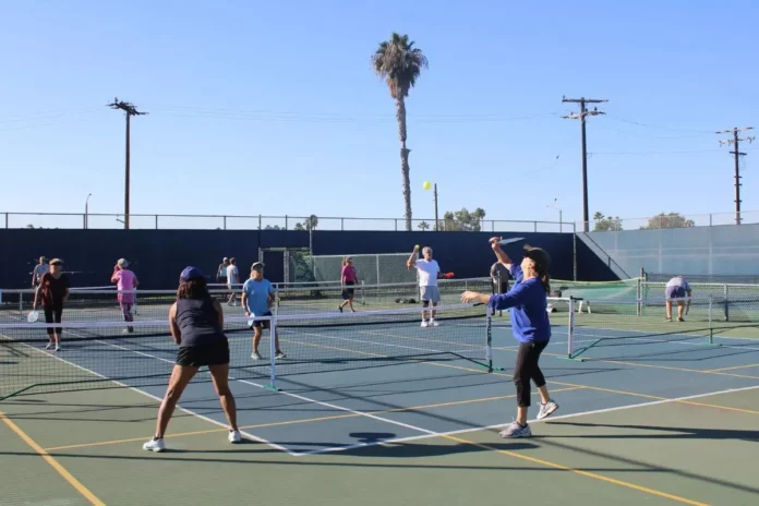 New Pickleball Courts at Long Branch Park